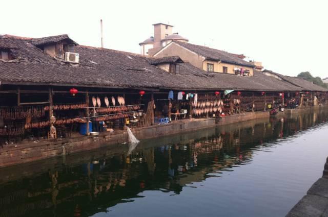 动物帮帮忙保卫家园